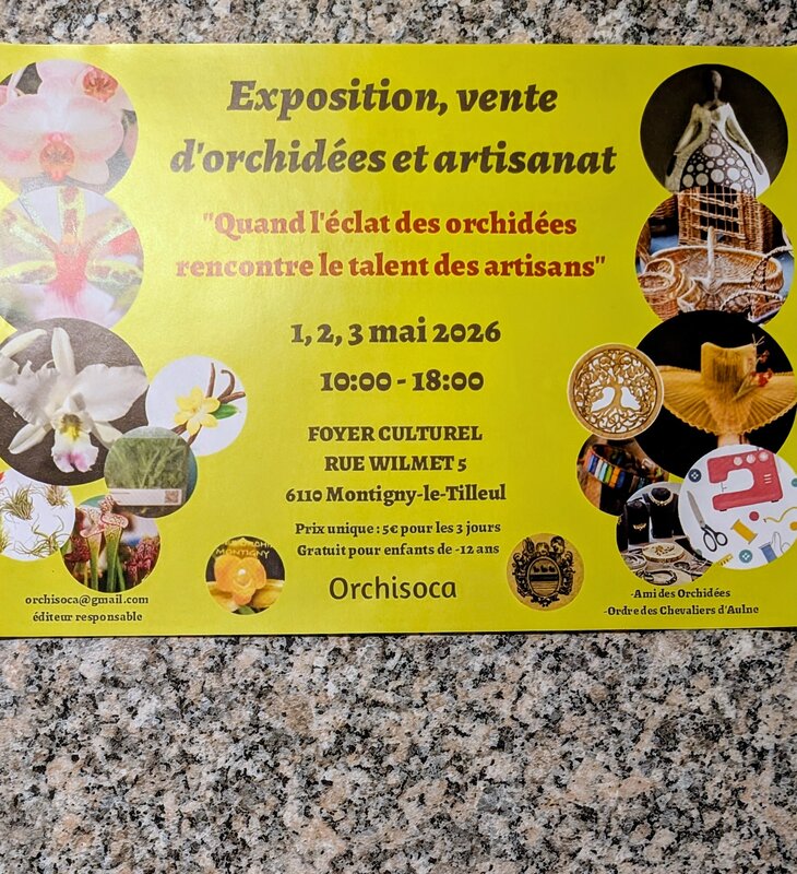 Expositions Exposition , vente d orchidées artisanat .