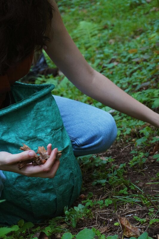 Conférences Rencontre Citoyenne : Interroger notre lien vivant