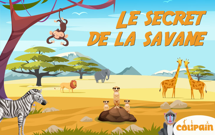 Stages,cours Colipain - Stages enfants - secret la savane