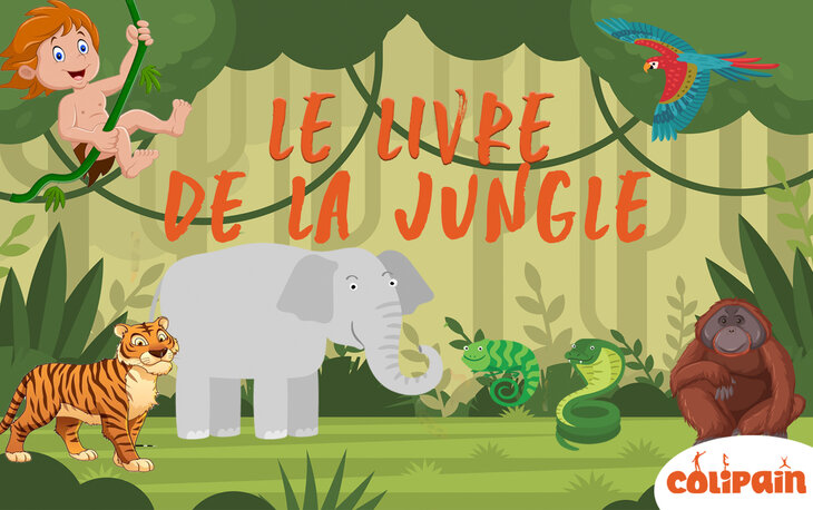 Stages,cours Colipain - Stages enfants - Livre la jungle