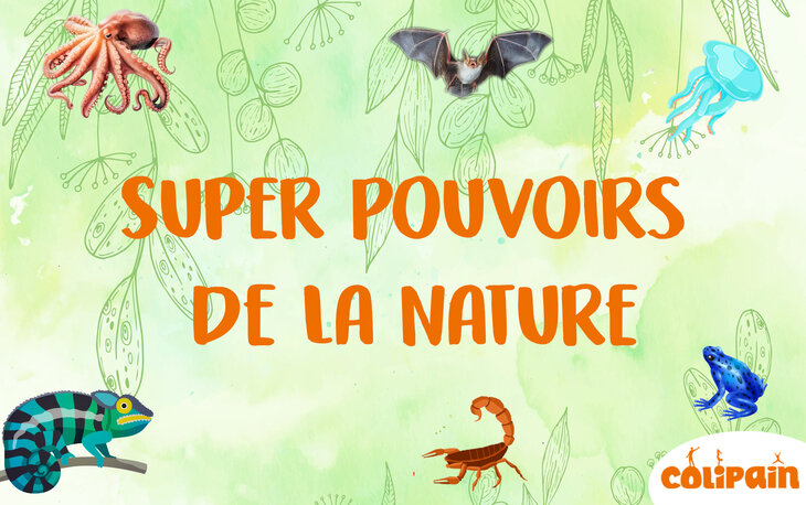 Stages,cours Colipain - Stages enfants - Super pouvoirs la nature
