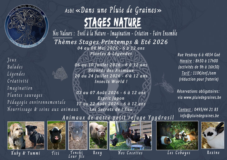 Stages,cours Stage Nature Esprit Japon
