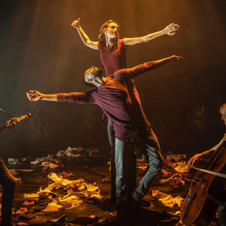 Spectacles Coquelicot