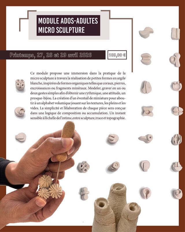 Stages,cours Micro Sculpture