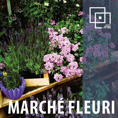 Loisirs Marché fleuri Virginal
