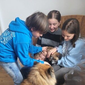 Stages,cours Méditation animale