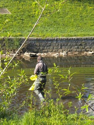 Loisirs Opération rivières propres