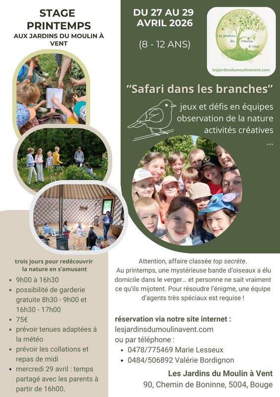 Stages,cours Stage enfant : Safari dans branches