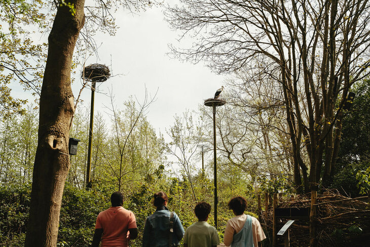 Loisirs Pâques dans Zwin