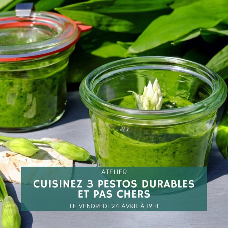 Stages,cours Atelier-repas : cuisinez 3 pestos durables pas chers 