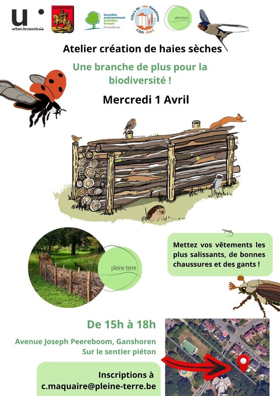 Loisirs Une activité prépare : haies sèches vont pousser dans quartier 