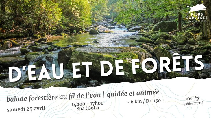 Loisirs D eau de forêt | balade forestière guidée animée