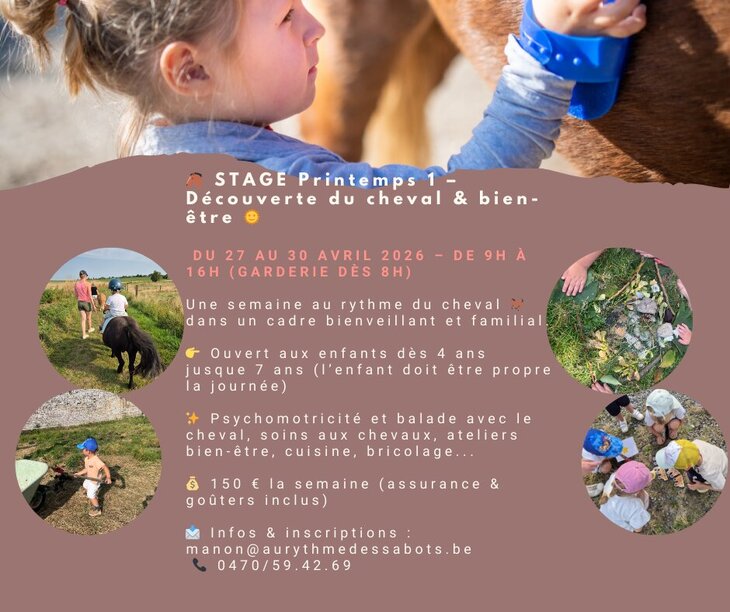 Stages,cours Stage découverte cheval bien être