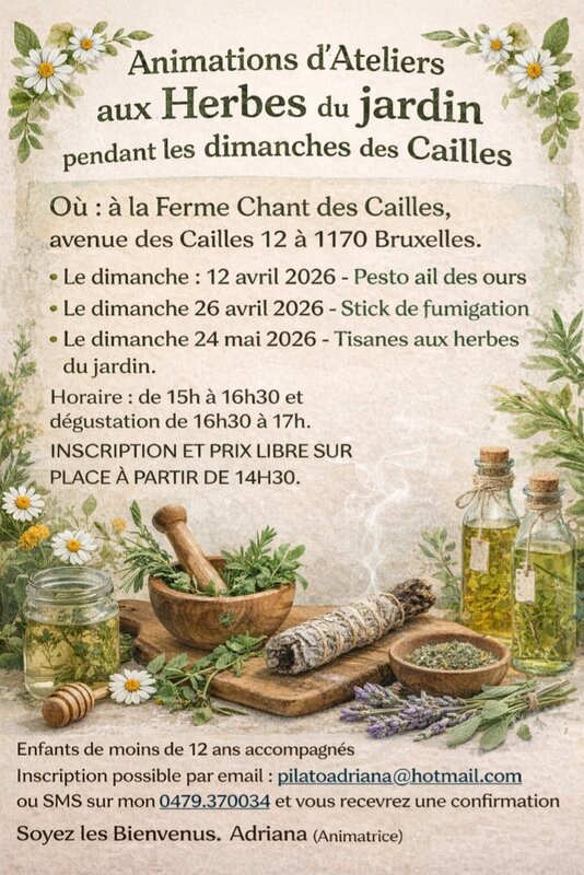 Stages,cours Atelier Tisanes herbes jardin