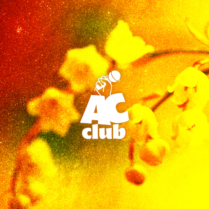 Spectacles L Atout Cocomedy Night