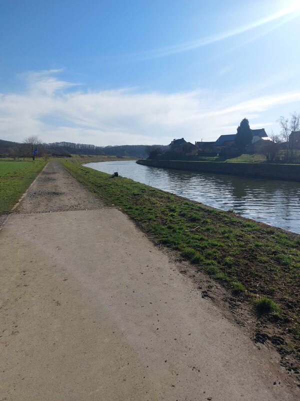 Loisirs Balade canine