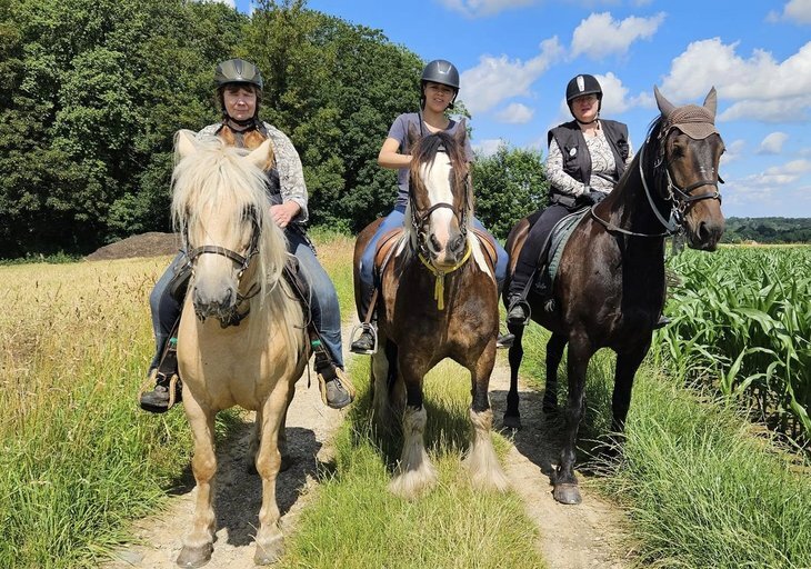 Conférences Réunion rencontre cavaliers meneurs propriétaires d équidés