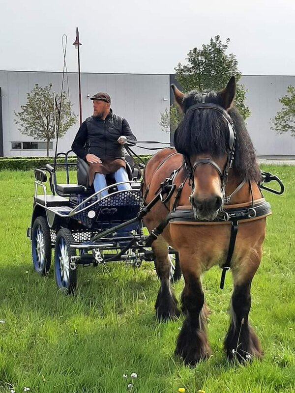 Loisirs Promenade ou 30km choix) pour cavaliers meneurs