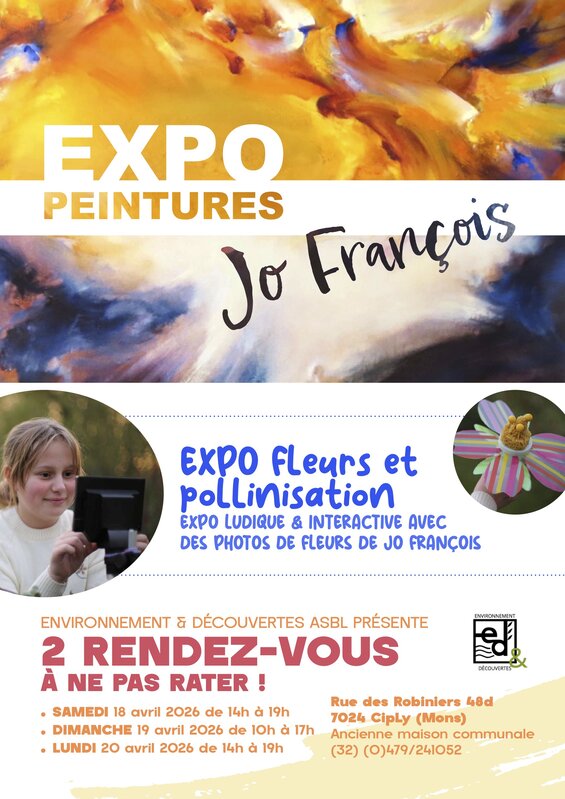 Expositions Expo peintures Jo François expo ludique interactive les fleurs