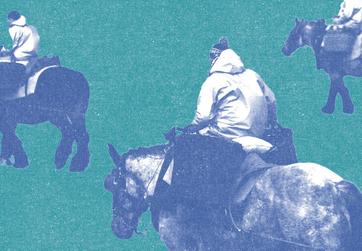 Conférences Chemins Flandre