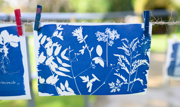 Stages,cours Cyanotype  Grandeur Nature ! 