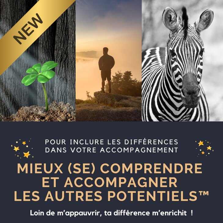 Stages,cours Mieux (se) comprendre accompagnez Autres Potentiels®