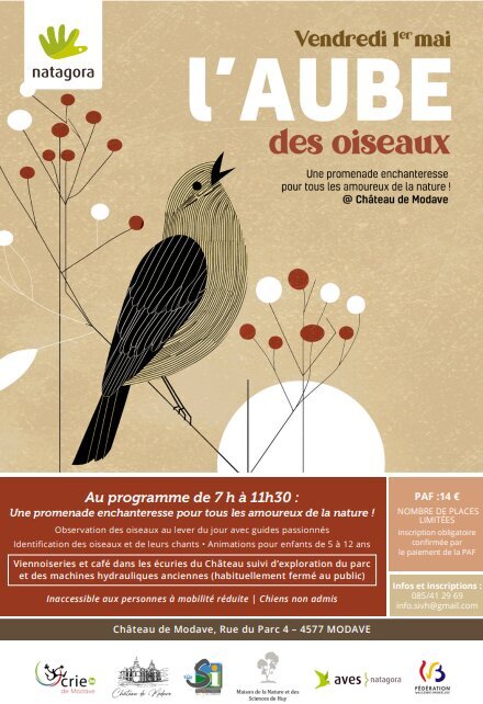 Loisirs L aube oiseaux