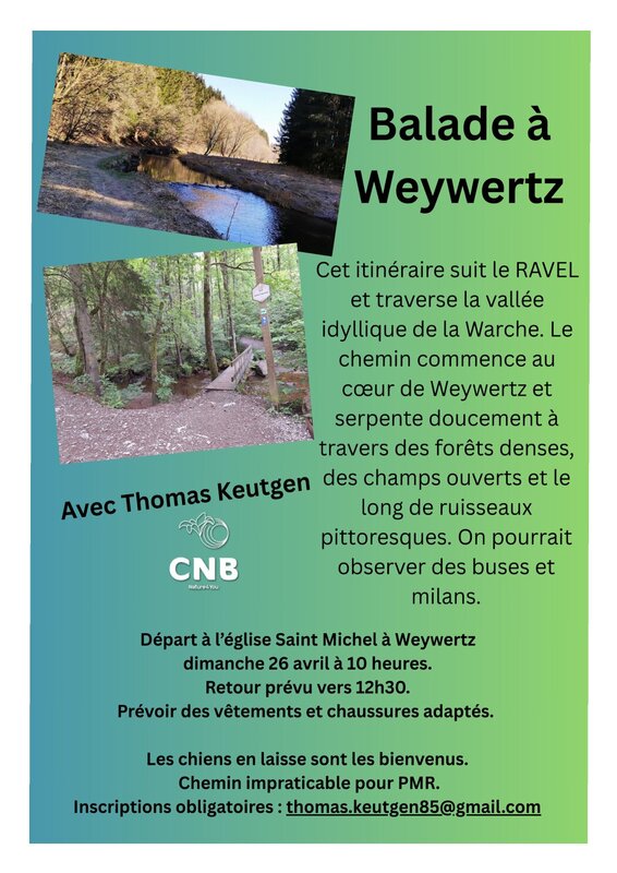 Loisirs Balade printanière Weywertz