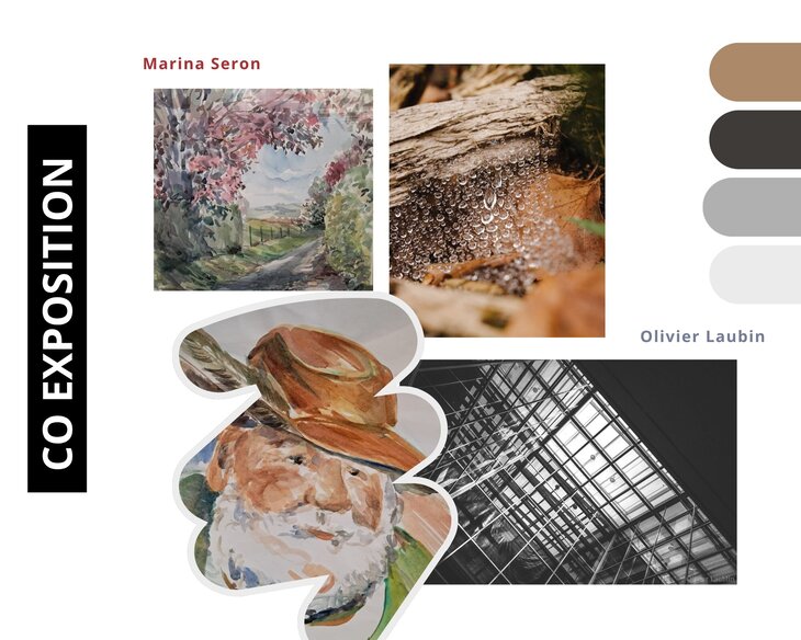 Expositions Co exposition : Marina Seron Olivier Laubin