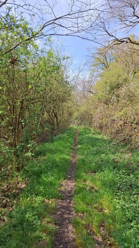 Loisirs Les balades cercle Marie-Anne Libert