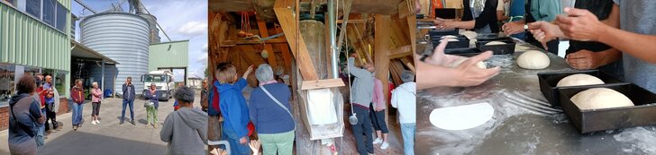 Conférences Du grain bon pain