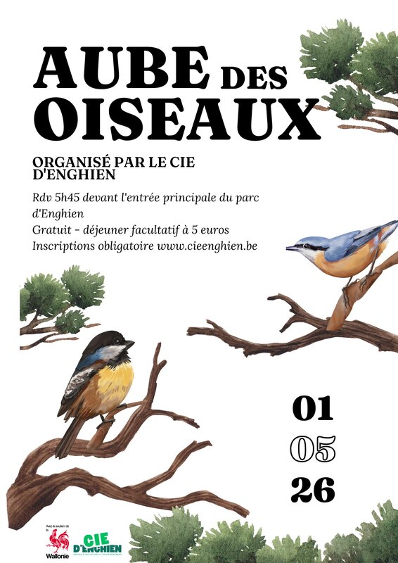 Loisirs L Aube Oiseaux
