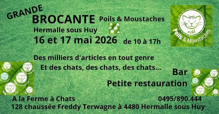  Grande brocante chez poils moustaches