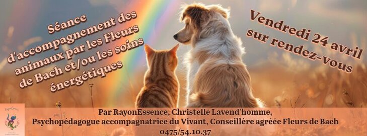 Stages,cours Séance d accompagnement animaux les Fleurs Bach et/ou soins énerg