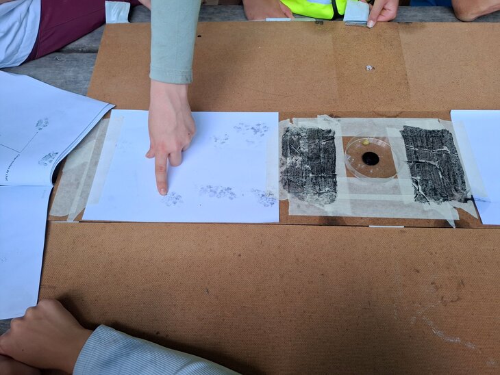 Loisirs Vérification pièges empreintes des caméras