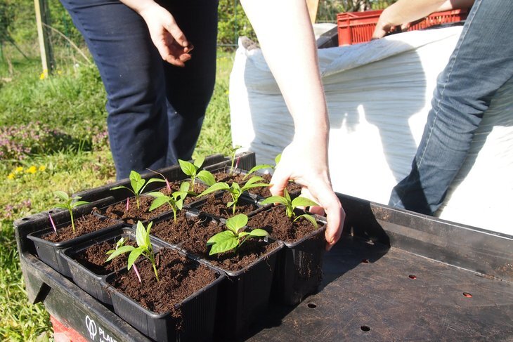Stages,cours Formation jardinage