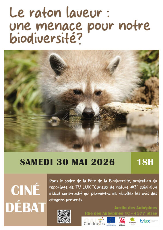Conférences Ciné-Débat raton laveur une menace pour notre biodiversité ? 