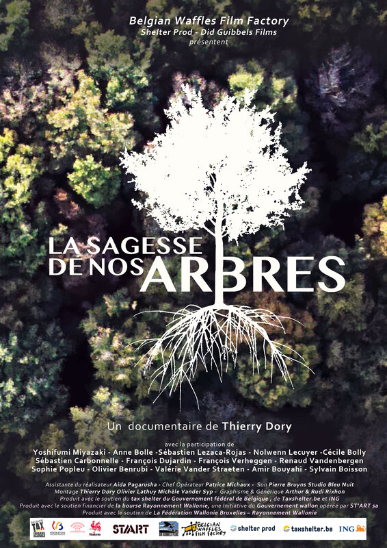 Spectacles Projection  La sagesse nos arbres  la Cabane l Arbre