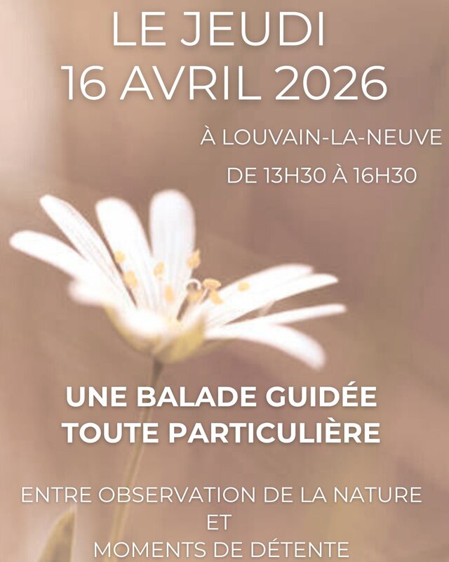 Loisirs Balade guidée naturaliste : entre nature moments détente