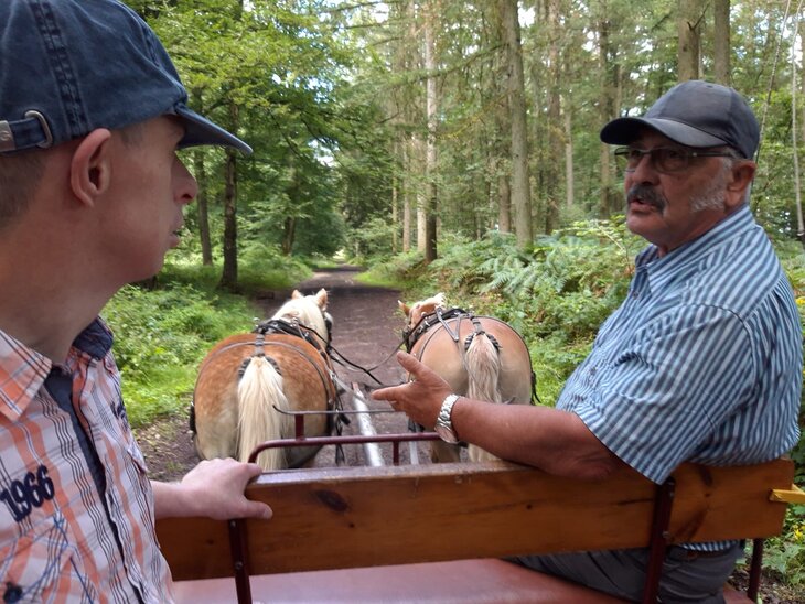 Loisirs Balades calèche