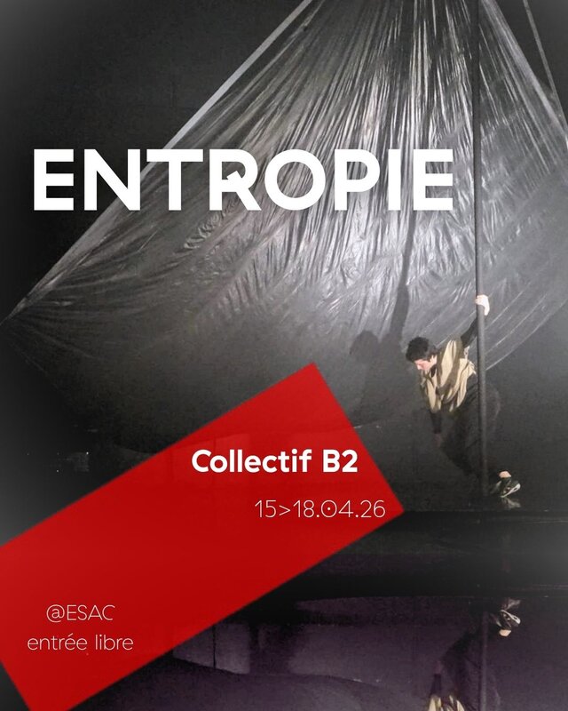 Spectacles Entropie - spectacle circassien Collectif Esac