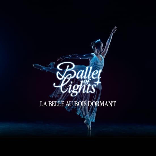 Spectacles Ballet Lights : Belle bois dormant dans spectacle étincelant