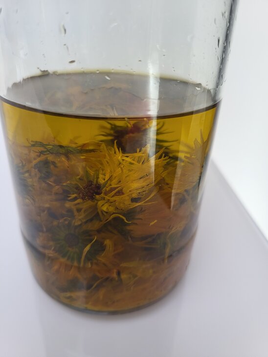 Stages,cours Atelier jardin infuse 