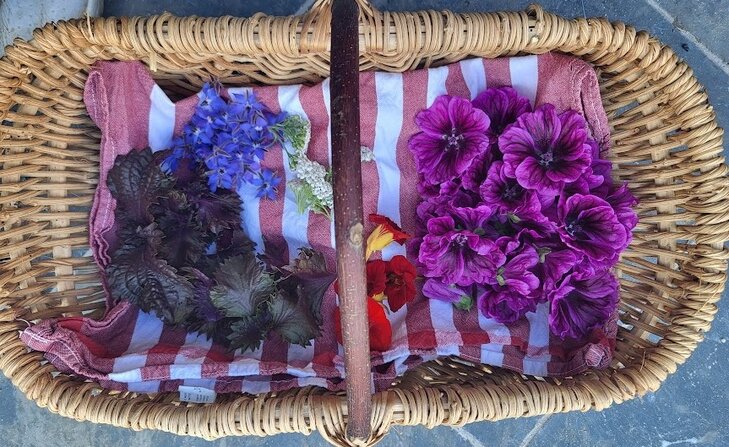 Stages,cours Atelier famille - Découvertes jardin