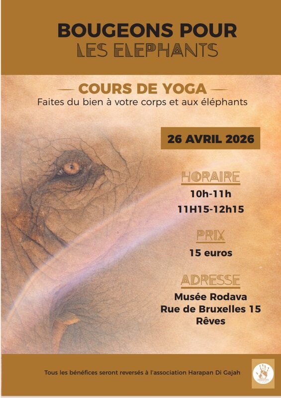 Stages,cours Bougeons pour éléphants