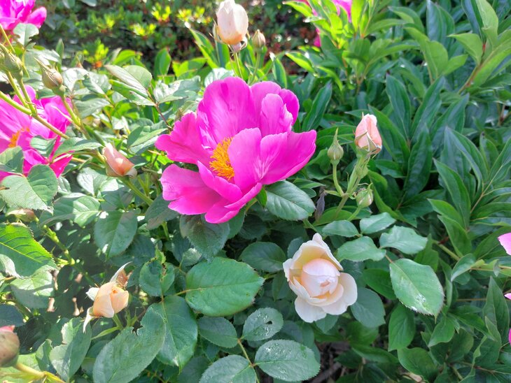 Loisirs Ouverture Jardin pour Pentecôte