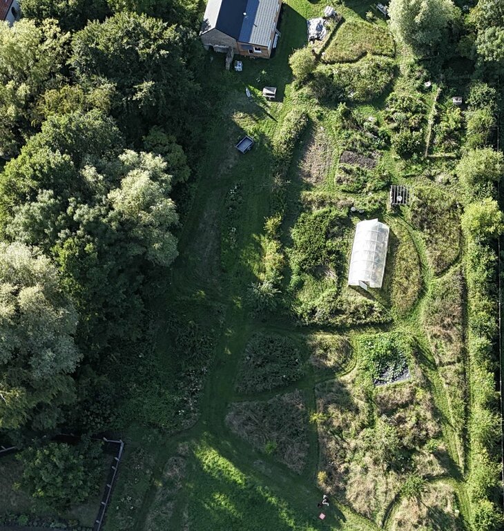 Stages,cours Jardin - Oasis biodiversité
