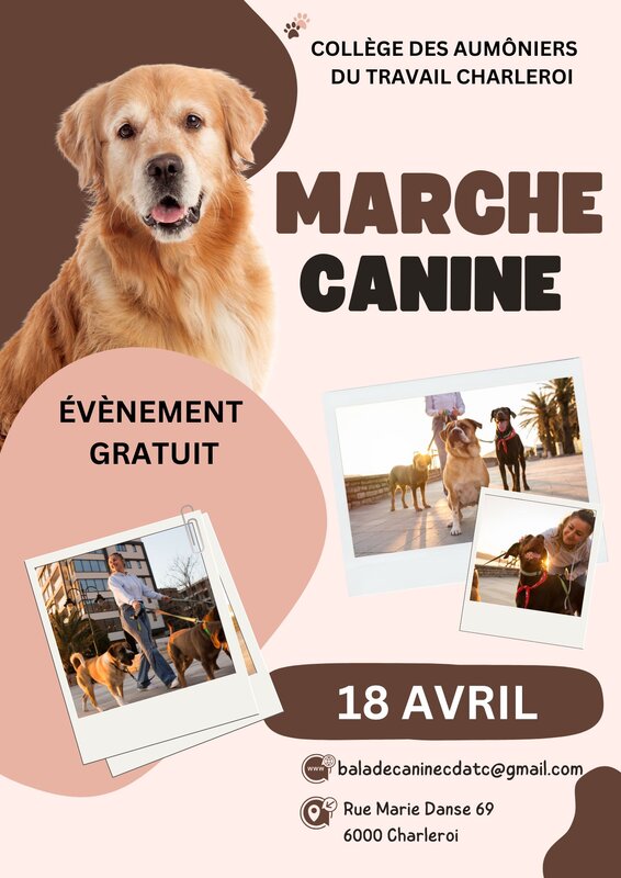 Loisirs Balade canine