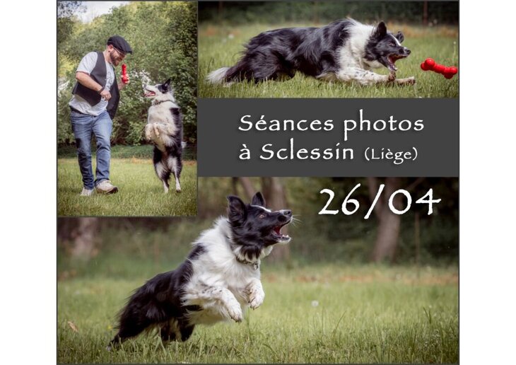 Loisirs Séances photos pour chiens dans espace verdoyant entièrement clôturé