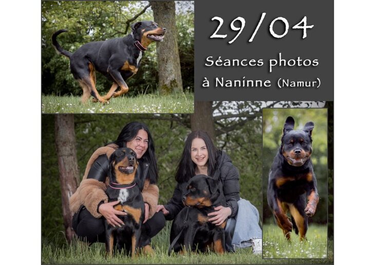 Stages,cours Séances photos chien-humain dans domaine privé, entièrement clôturé